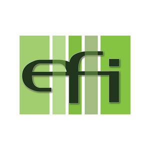 Fundraising Page: EFI .