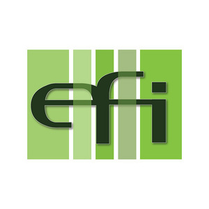 EFI .
